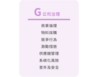 ESG 公司治理 (G) 說明卡片，紫色配色