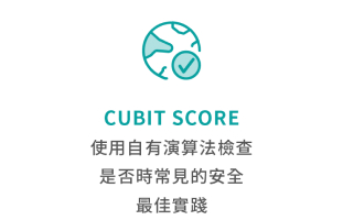 SecurityScorecard 評估面向圖示：CUBIT SCORE (使用自有演算法檢查是否常